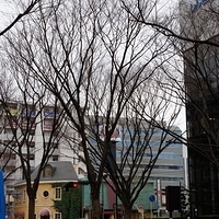 2009.12.30-015.JPG