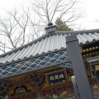 2009.12.30-047.JPG