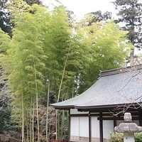 2009.12.30-051.JPG