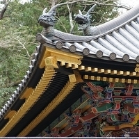 2009.12.30-054.JPG