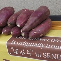 2009.12.30-059.JPG