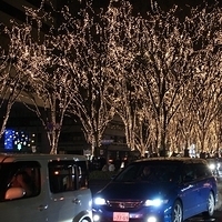 2009.12.30-215.JPG