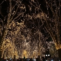 2009.12.30-233.JPG