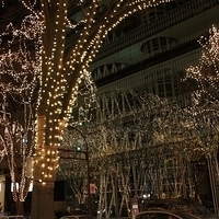 2009.12.30-245.JPG