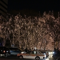 2009.12.30-246.JPG