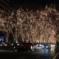 2009.12.30-247.JPG