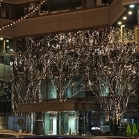 2009.12.30-248.JPG