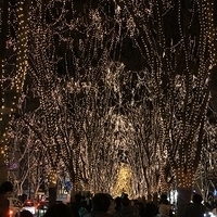 2009.12.30-249.JPG