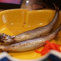 2009.12.26-002.JPG