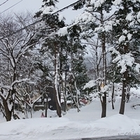 2009.12.24-026.JPG