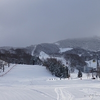 2009.12.25-028.JPG