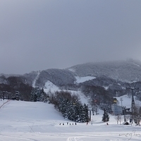2009.12.25-029.JPG