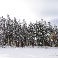 2009.12.25-050.JPG