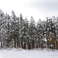 2009.12.25-052.JPG