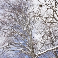 2009.12.25-053.JPG
