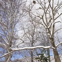 2009.12.25-054.JPG