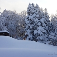 2009.12.25-095.JPG
