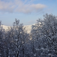 2009.12.25-096.JPG
