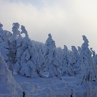 2009.12.25-119.JPG