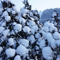 2009.12.25-198.JPG
