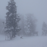 2009.12.28-028.JPG