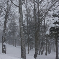 2009.12.28-060.JPG