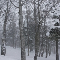 2009.12.28-061.JPG