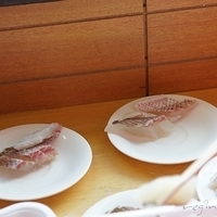 2009.12.29-025.JPG