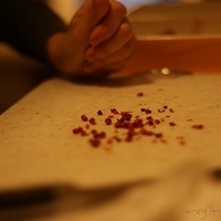 2009.03.14-mdm-028.JPG