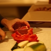 2009.03.14-mdm-033.JPG