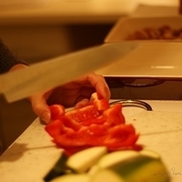 2009.03.14-mdm-034.JPG