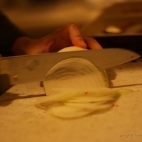2009.03.14-mdm-038.JPG