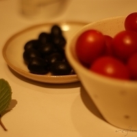 2009.03.14-mdm-041.JPG