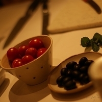 2009.03.14-mdm-043.JPG