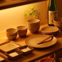 2009.03.14-mdm-074.JPG