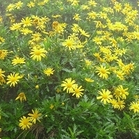 2009.03.31-006.JPG