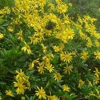 2009.03.31-007.JPG