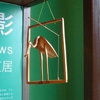 2009.01.22-059.JPG