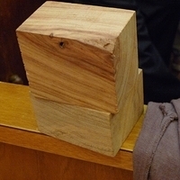 2009.01.22-110.JPG