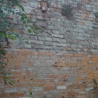 2009.01.22-128.JPG
