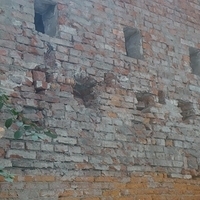 2009.01.22-129.JPG