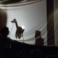 2009.01.22-139.JPG