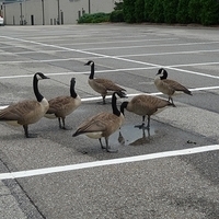 2010.07.25-001.JPG