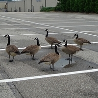 2010.07.25-002.JPG