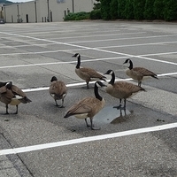 2010.07.25-003.JPG