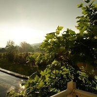 2010.06.23-001.JPG