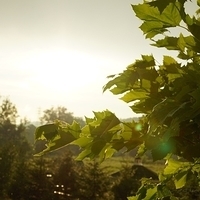 2010.06.23-003.JPG