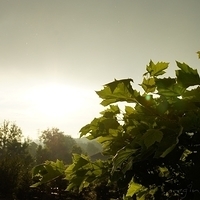 2010.06.23-004.JPG