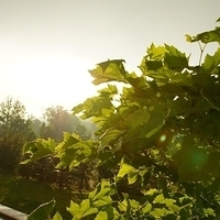 2010.06.23-005.JPG