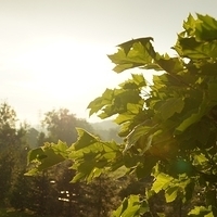 2010.06.23-006.JPG